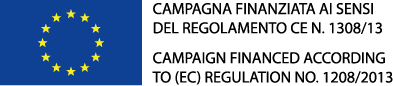 logo-ocm